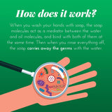 Effective Liquid Hand Soap for Daily Use | Natural Hand Soap w/ Essential Oils for Hand Wash | Cruelty Free Eco Friendly Product, 1 Bottle Geranium, 1 Bottle Peony, 12.5 OZ each