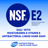 Dial Professional 84022 Liquid Dial Antimicrobial Soap with Moisturizers 1 Gallon (6-Packs)