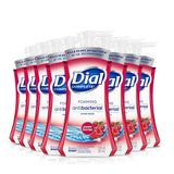 Dial 03016 Antibacterial Foaming Hand Wash, Power Berries, 7.5 oz Pump Bottle 2-Packs